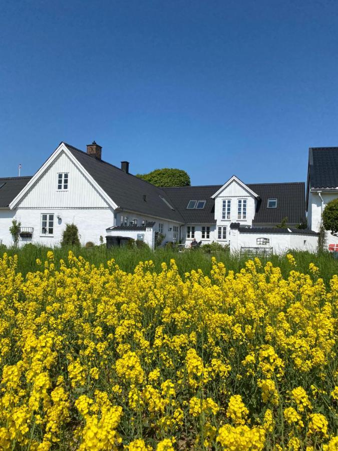 Vejle Golf Apartments Borkop Luaran gambar