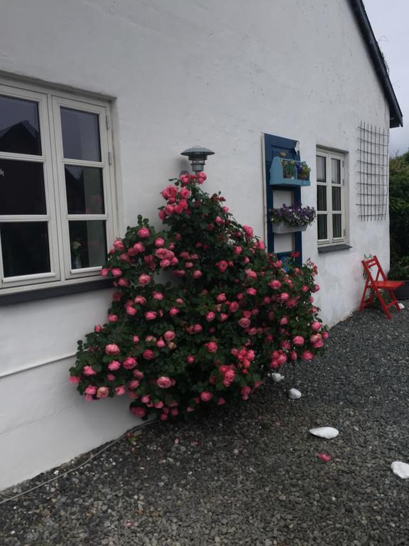 Vejle Golf Apartments Borkop Luaran gambar