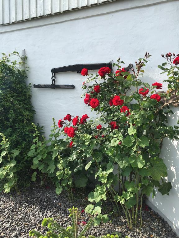 Vejle Golf Apartments Borkop Luaran gambar
